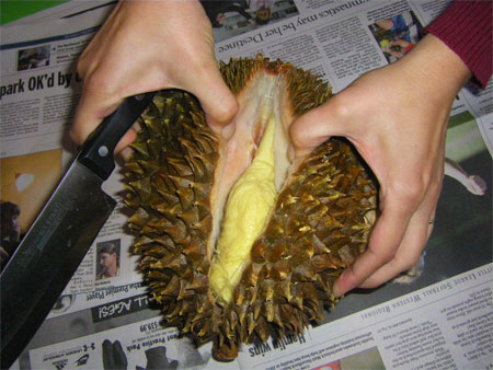 http://rikawidyaigp.files.wordpress.com/2010/05/durian-fruit.jpg